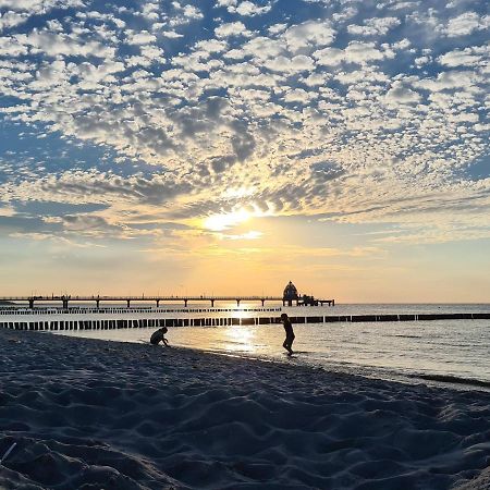 Fewo Leuschner Lejlighed Zingst Eksteriør billede